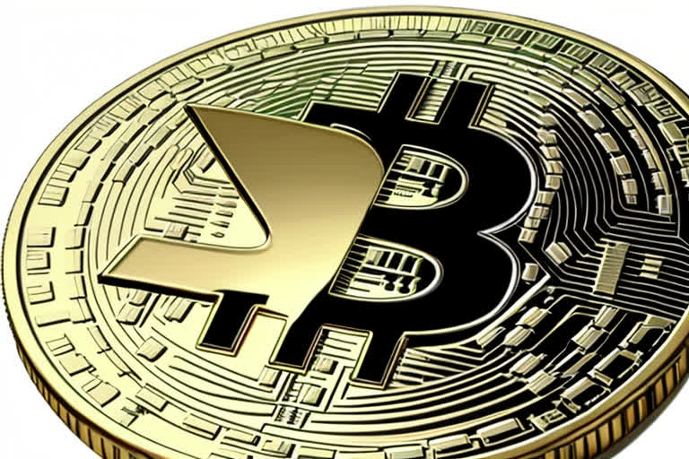 驚爆！PUNT松鼠幣日內瘋漲，加密市場再掀狂潮！