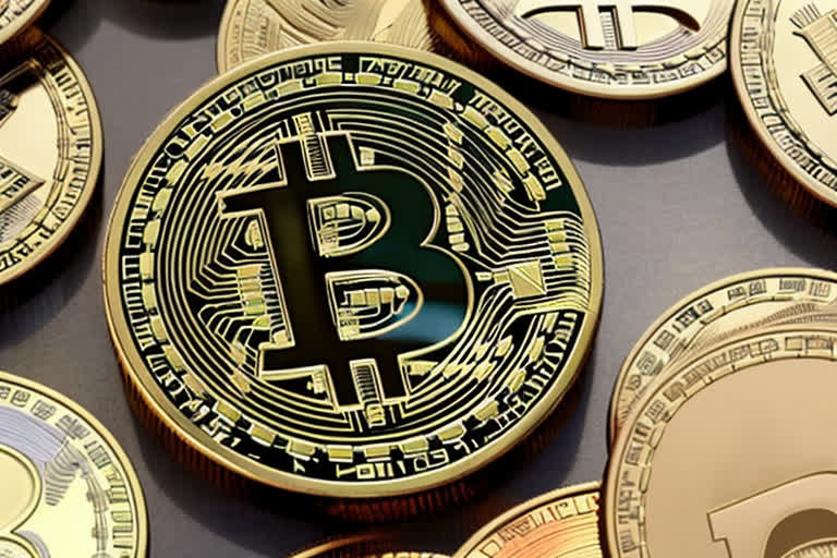 Dogwifhat幣飆破新高！揭秘迷因幣市場的瘋狂與機遇